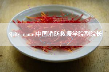 四平中国消防救援学院副院长
