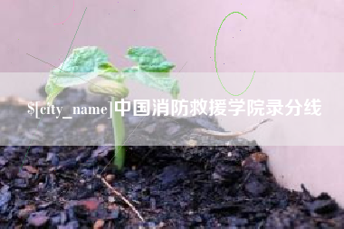 四平中国消防救援学院录分线