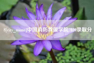 四平中国消防救援学院2020录取分