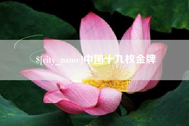 四平中国十九枚金牌