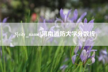 四平河南消防大学分数线