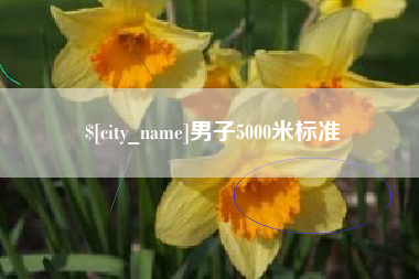 四平男子5000米标准
