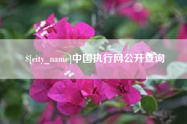 四平中国执行网公开查询