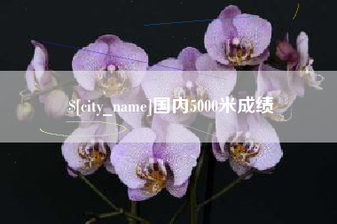四平国内5000米成绩