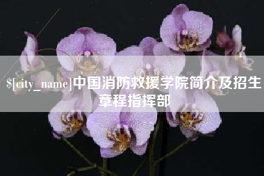 四平中国消防救援学院简介及招生章程指挥部