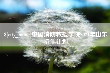 四平中国消防救援学院2021年山东招生计划