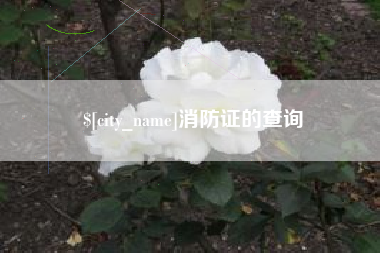 四平消防证的查询