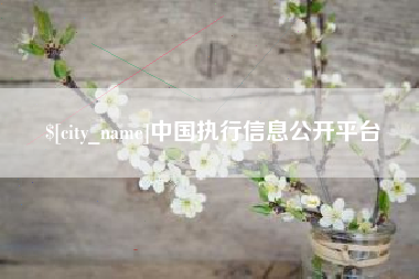 四平中国执行信息公开平台