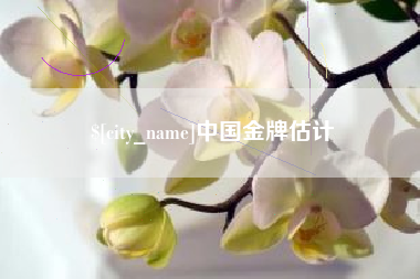 四平中国金牌估计