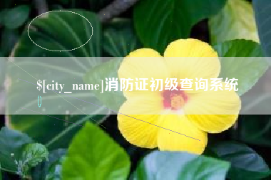 四平消防证初级查询系统
