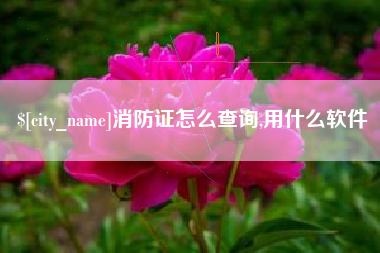四平消防证怎么查询,用什么软件