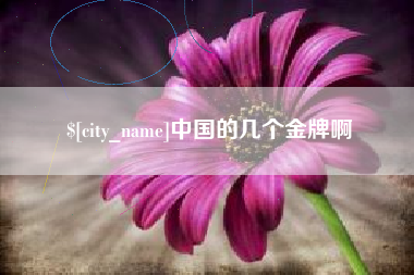 四平中国的几个金牌啊