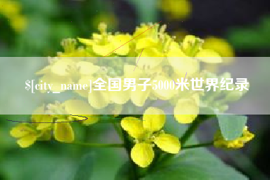 四平全国男子5000米世界纪录