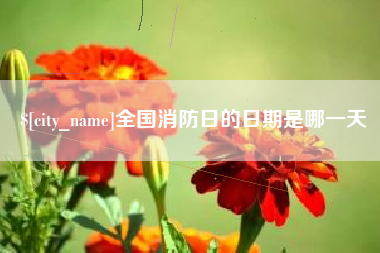 四平全国消防日的日期是哪一天