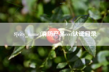 四平消防产品cccf认证目录