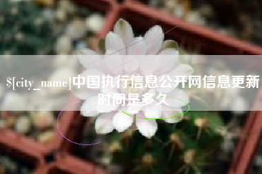 四平中国执行信息公开网信息更新时间是多久