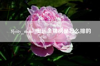 四平奥运金牌榜是怎么排的