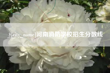 四平河南消防学校招生分数线