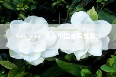 四平现在中国金牌是多少
