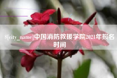 四平中国消防救援学院2021年报名时间