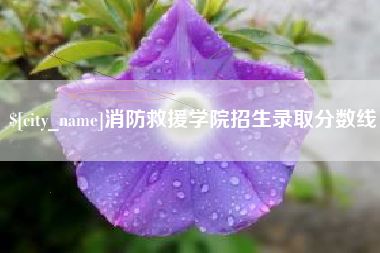 四平消防救援学院招生录取分数线