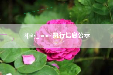 四平执行信息公示