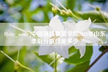 四平中国消防救援学院2021年山东录取分数线是多少
