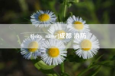 四平成都 消防