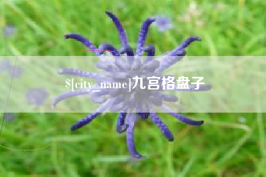 四平九宫格盘子