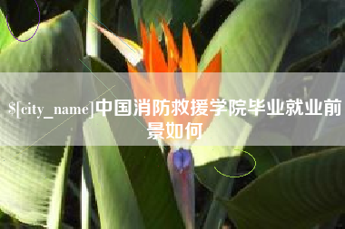 四平中国消防救援学院毕业就业前景如何