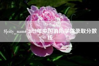 四平2021年中国消防学院录取分数线