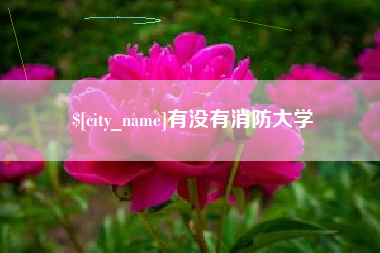 四平有没有消防大学