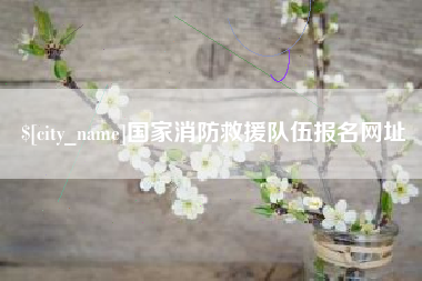 四平国家消防救援队伍报名网址