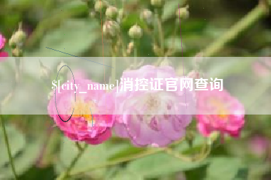 四平消控证官网查询