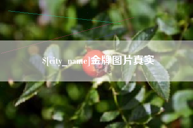 四平金牌图片真实