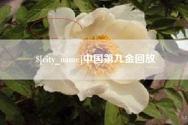 四平中国第九金回放