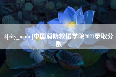 四平中国消防救援学院2021录取分数