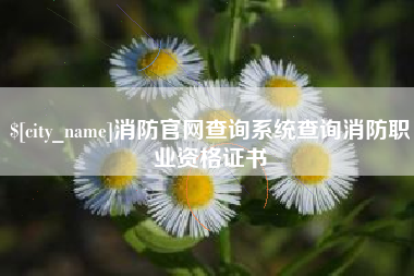 四平消防官网查询系统查询消防职业资格证书