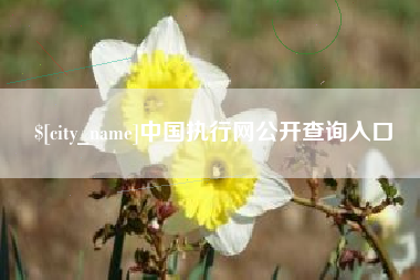 四平中国执行网公开查询入口