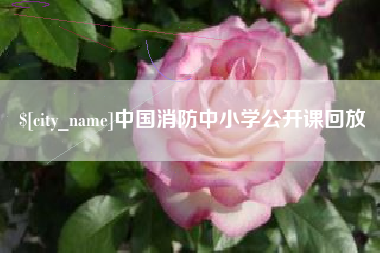 四平中国消防中小学公开课回放