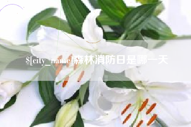 四平森林消防日是哪一天