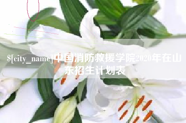 四平中国消防救援学院2020年在山东招生计划表