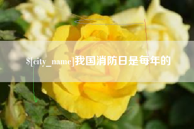 四平我国消防日是每年的