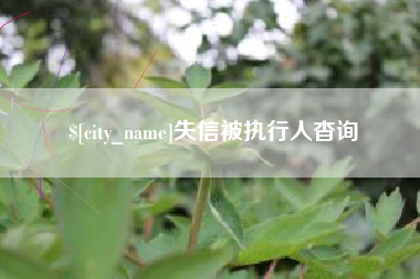 四平失信被执行人杳询