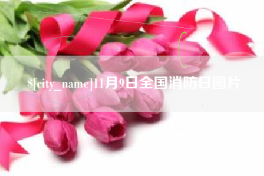 四平11月9日全国消防日图片