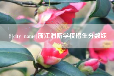 四平浙江消防学校招生分数线