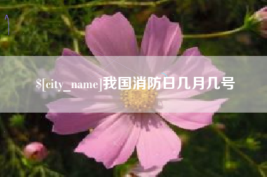 四平我国消防日几月几号