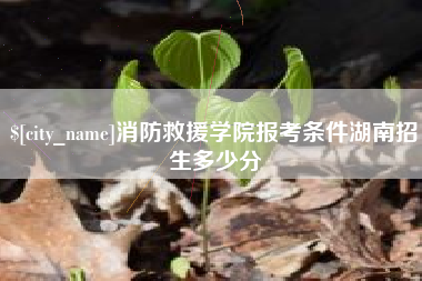 四平消防救援学院报考条件湖南招生多少分