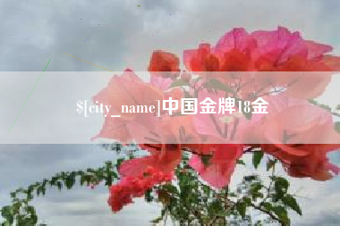四平中国金牌18金