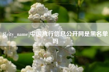 四平中国执行信息公开网是黑名单吗